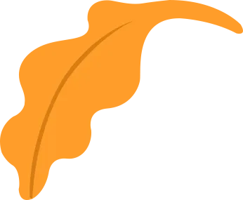 illustrations